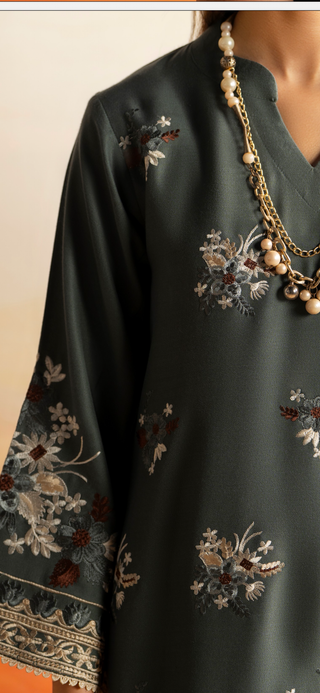 Grey Raniya.h Embroided Dhanak Suit