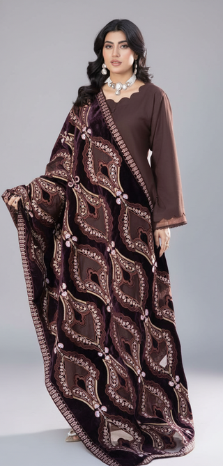 Brown Dhanak 3pc Suit with Heavy Cutwork Shawl