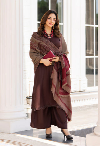 Simple Brown Raniya.h 3pc Dhanak Suit