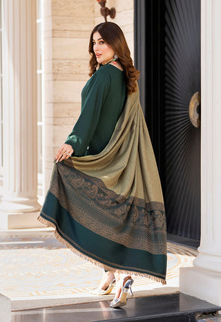 Simple Green Raniya.h 3pc Dhanak Suit