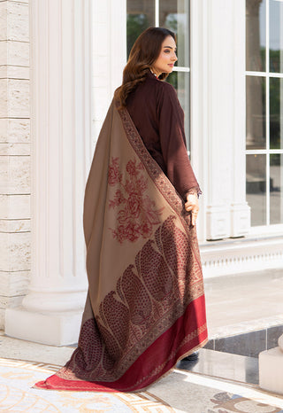 Simple Brown Raniya.h 3pc Dhanak Suit