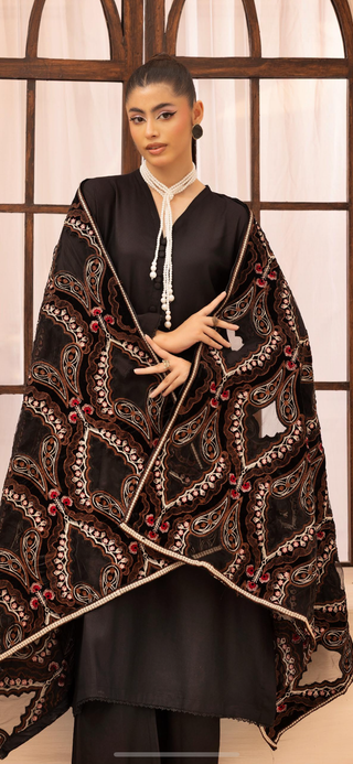 Black Dhanak 3pc Suit with Heavy Cutwork Shawl