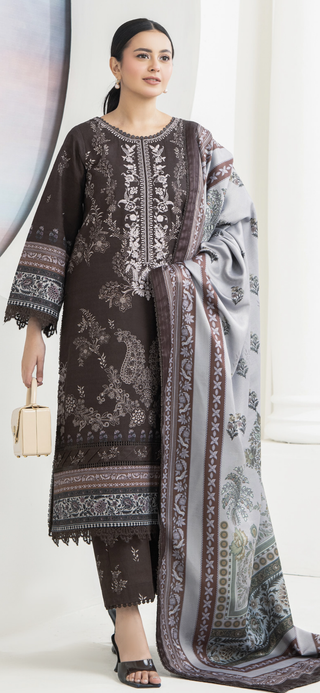Brown Ally’s Khaddar Suit