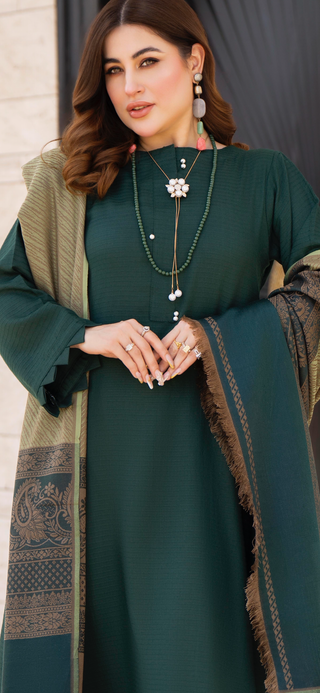 Simple Green Raniya.h 3pc Dhanak Suit