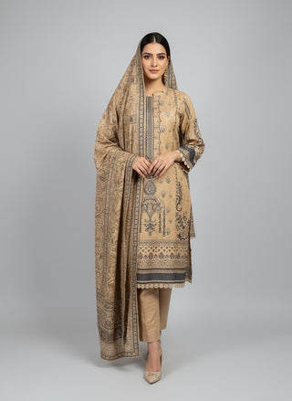 Beige 3pc Dhanak Suit