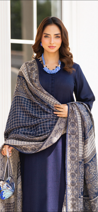 Simple Navy Raniya.h 3pc Dhanak Suit