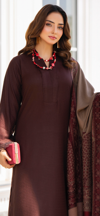 Simple Brown Raniya.h 3pc Dhanak Suit