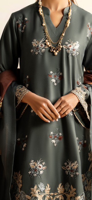 Grey Raniya.h Embroided Dhanak Suit