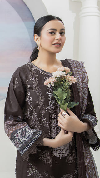 Brown Ally’s Khaddar Suit
