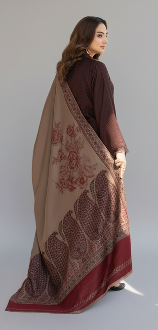 Simple Brown Raniya.h 3pc Dhanak Suit