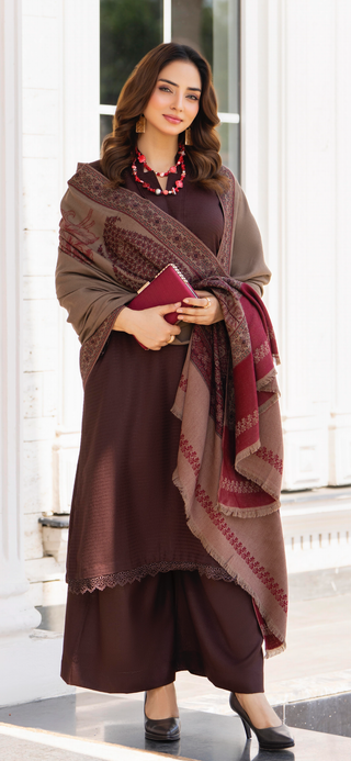 Simple Brown Raniya.h 3pc Dhanak Suit