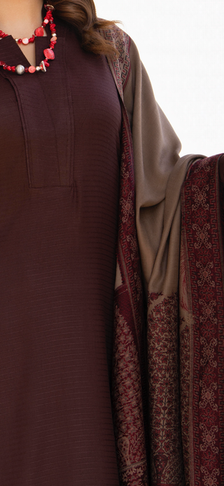 Simple Brown Raniya.h 3pc Dhanak Suit
