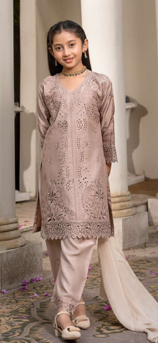 Beige 3pc Summer Chickenkari Suit