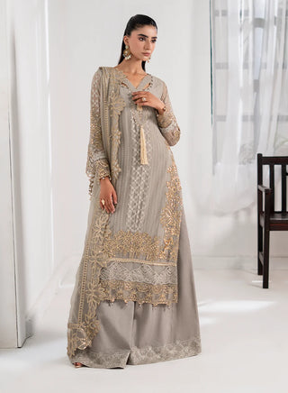 Chiffon-PartyWear-Silver
