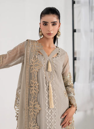 Chiffon-PartyWear-Silver