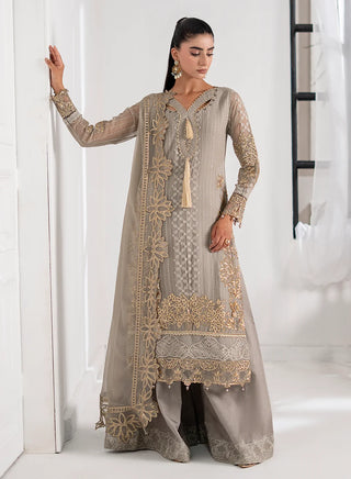 Chiffon-PartyWear-Silver