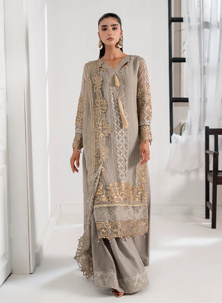 Chiffon-PartyWear-Silver
