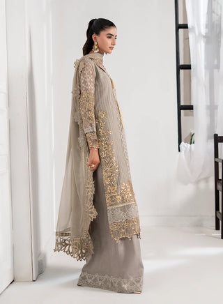 Chiffon-PartyWear-Silver