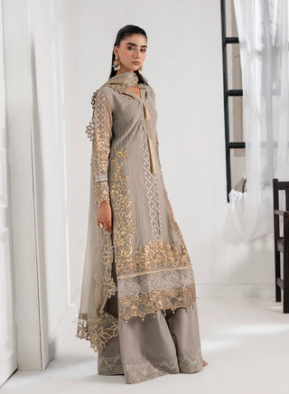 Chiffon-PartyWear-Silver