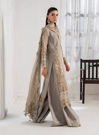 Chiffon-PartyWear-Silver