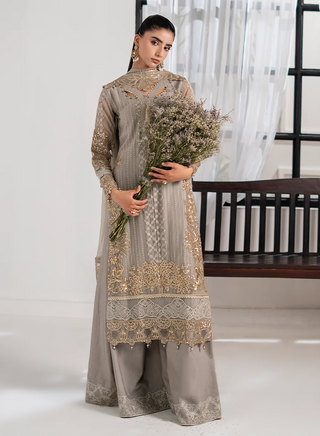Chiffon-PartyWear-Silver