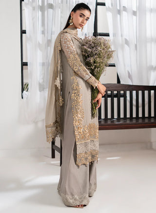 Chiffon-PartyWear-Silver