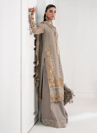 Chiffon-PartyWear-Silver