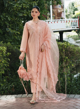 Lilly-MnD-Peach-006