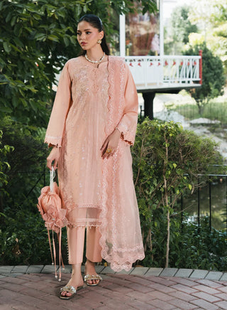 Lilly-MnD-Peach-006