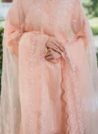 Lilly-MnD-Peach-006