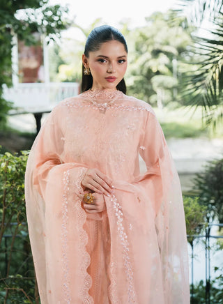 Lilly-MnD-Peach-006