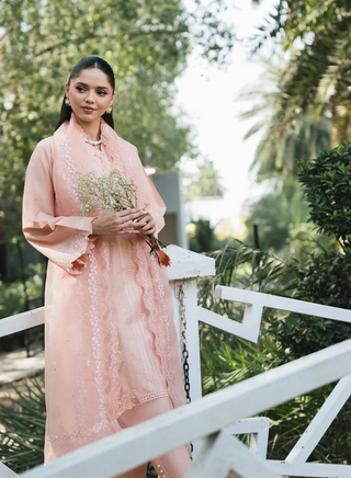 Lilly-MnD-Peach-006