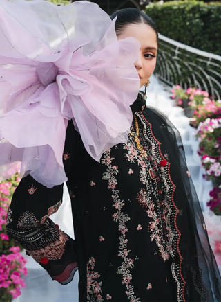 Lilly-MnD-Black-007