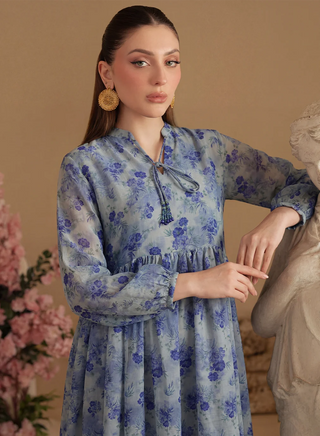 Florina Dress-1pc-Blue