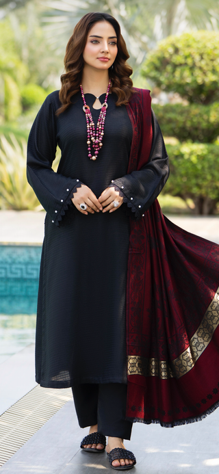 Simple Black Raniya.h 3pc Dhanak Suit