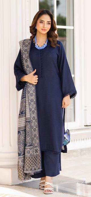 Simple Navy Raniya.h 3pc Dhanak Suit