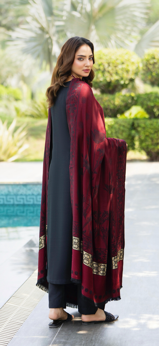 Simple Black Raniya.h 3pc Dhanak Suit