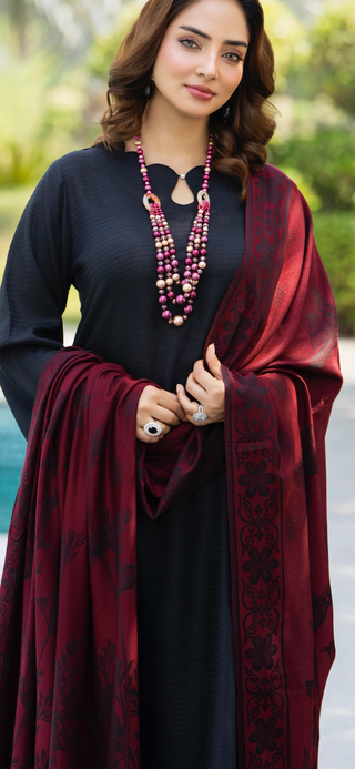 Simple Black Raniya.h 3pc Dhanak Suit