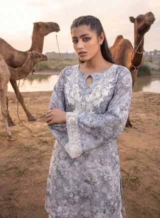 Ziva-2pc Grey